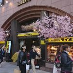 ビヤホールライオン - お花見ビヤホール