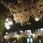 ビヤホールライオン - お花見