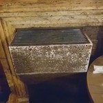 ビヤホールライオン - これはなんだ？（風が出てる）