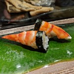 鮨 蒼井 - 握り　車海老