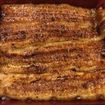 鰻はし本 - 横山さんの鰻の4番仔の鰻重