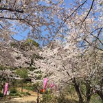 ささら - 形原 春日山