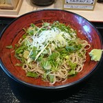 そばの神田 - 薬味蕎麦 (冷) 480円