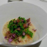 SINC BISTRO - ホタルイカと菜の花のマリネ
                    筍のリゾット 蕗の薹の香り