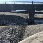 おふくろ亭 - 由比川河口