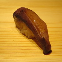 冨所 - 青森産子持ちアオリイカ