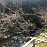 美山荘 - 眼下を流れる川