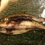 旬菜 おぐら家 - ホンモロコ