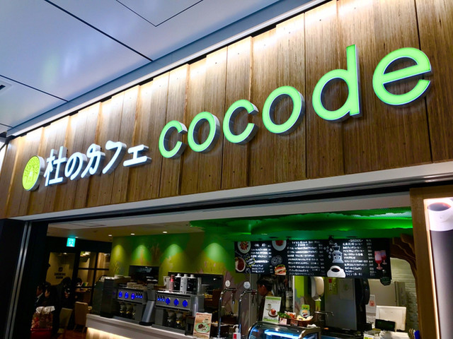 杜のカフェ ココデ 杜のカフェ Cocode 仙台 カフェ 食べログ 杜のカフェ ココデ 杜のカフェ Cocode 仙台 カフェ 食べログ