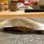 はっこく - 2019.3.  小鰭