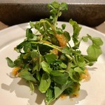 はっこく - 2019.3.  ケールとクレソンのはっこくドレッシングかけ