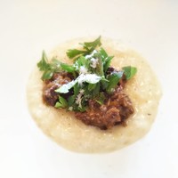 サーラ アマービレ - リコッタチーズのリゾット 牛タンの赤ワイン煮込みとペコリーノ風味