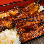 うなぎ 本間 井上店 - (参考:アイシティ21店)