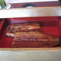 鰻割烹 伊豆栄 不忍亭 - 