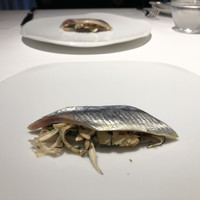 レフェルヴェソンス - 