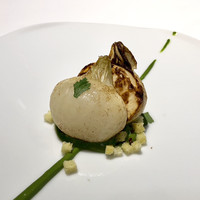 レフェルヴェソンス - 