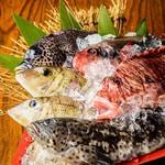 Mo Ashibi - 日本料理の職人が厳選。近海のいまいゆ、店内水槽からあげる活魚も堪能