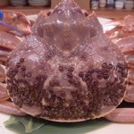 魚菜料理 縄屋 - カニビル多し