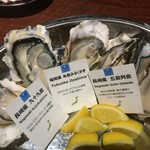 gigas Oyster Spot Bar - 