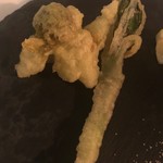 デルフィーナ - 