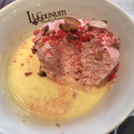 ルグドゥノム ブション リヨネ - 