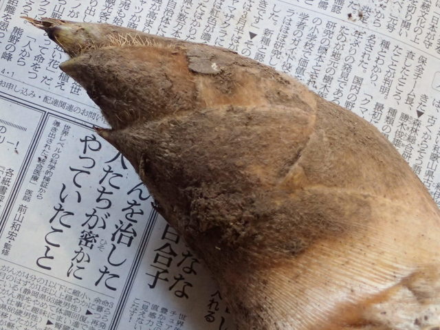フレッシュショップはしもと 安積永盛 その他 食べログ フレッシュショップはしもと 安積永盛 その他 食べログ