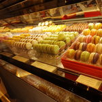 105511795 - 夢のようなショーケース