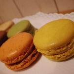 105511827 - 手前黄色：アンフィニマンシトロン　隣のオレンジ色：アラベスク