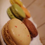 105511832 - 手前：フラゴラ　茶色：ショコラアメール 緑色：アンフィニマンピスターシュ