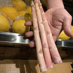 BiOsteria Komakine - 