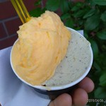 ジェラテリア アクオリーナ - デコポンのソルベとピスタッキオのジェラート