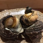 鮨 波づき - 姫サザエつぼ焼き