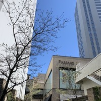 リストランテ アクアパッツァ - 