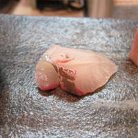 松寿司 - シマアジ