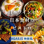 AGARIS - 