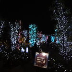 グランファミーユ・シェ松尾 - 成城コルティ４F屋上庭園