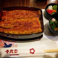 入谷鬼子母神門前のだや - 