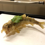 まつむら - 十一品目：稚鮎の天麩羅