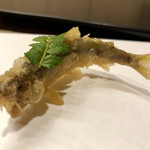 まつむら - 十一品目：稚鮎の天麩羅