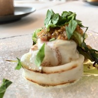 サーラ アマービレ - 