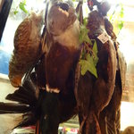 ブラッスリー・ラルテミス  - ジビエの鳥さんたち・・・