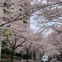 六本木うかい亭 - 