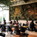 Nicolai Bergmann NOMU - 