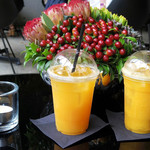 Nicolai Bergmann NOMU - 