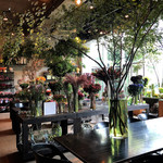 Nicolai Bergmann NOMU - 