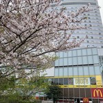 マクドナルド - 2019/04 りんかい線の国際展示場駅とゆりかもめ国際展示場正門駅の間、東京ベイ有明ワシントンホテルがある有明パークビルの１階にある マクドナルド 有明パークビル店