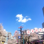 一幸庵 - 文京さくらまつり