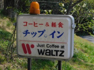 Kissa Chip In photo 5