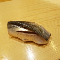 鮨 しゅん輔 阿佐ヶ谷 - コハダ