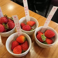 ザ・ループ ホテルアゴーラ大阪守口 - 